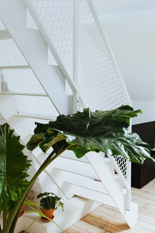 Musa Antwerpen Exterior foto